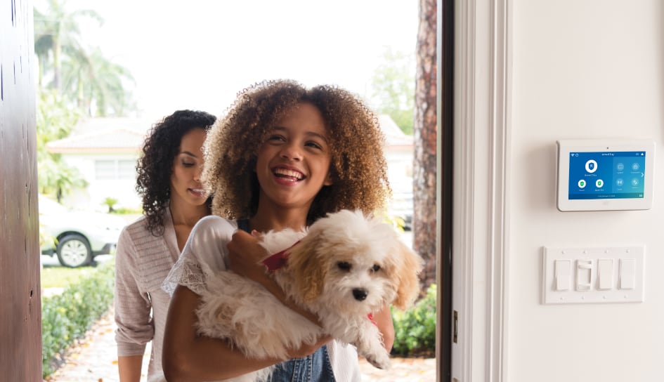 ADT Security System in a Lawrence home